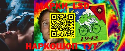 прущие грибы Гусиноозёрск