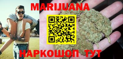 прущие грибы Гусиноозёрск